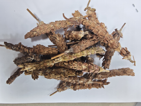 1775699333202090995.png 1.png